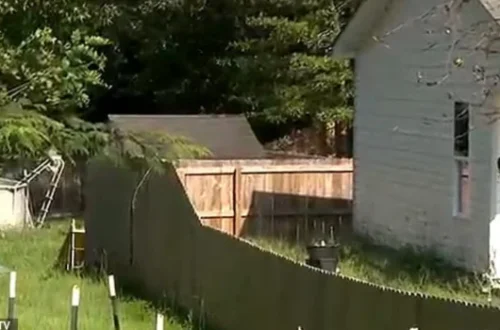 Rockdale Habitat for Humanity Property Line Dispute