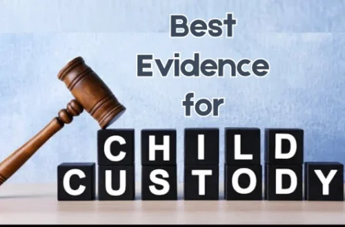 Best Evidence for Child Custody Cases