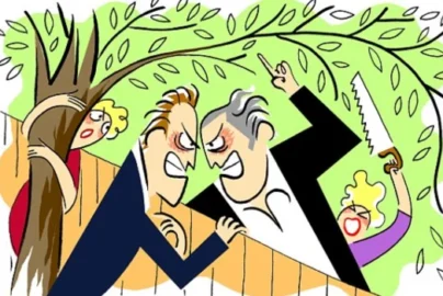 Property Line Disputes