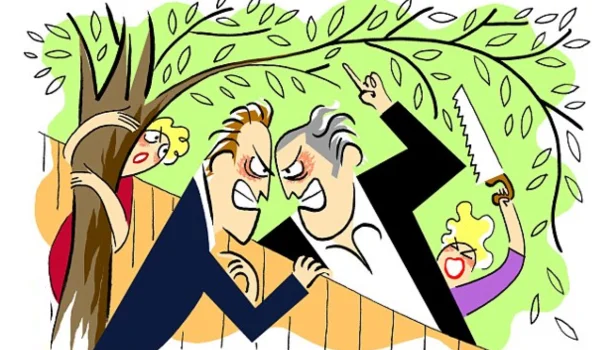 Property Line Disputes