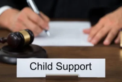 Child Support Laws