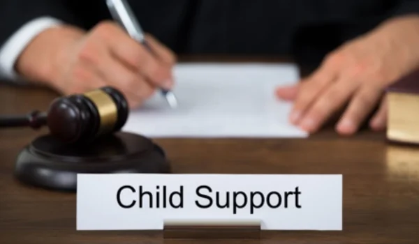 Child Support Laws