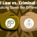 Criminal Law and Civil Law