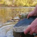 Recreational Gold Mining Claims for Sale